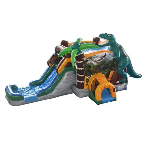 Dinosaur Slides